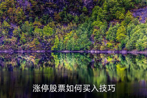  漲停股票如何買(mǎi)入技巧