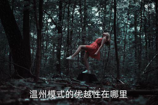 溫州模式為什么具有很強的經(jīng)濟性，溫州模式取得成功的原因6分題
