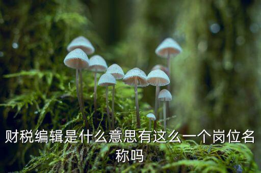財(cái)稅編輯是什么意思有這么一個(gè)崗位名稱(chēng)嗎