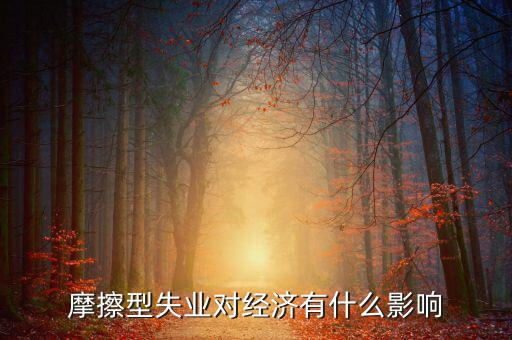 摩擦型失業(yè)對經濟有什么影響