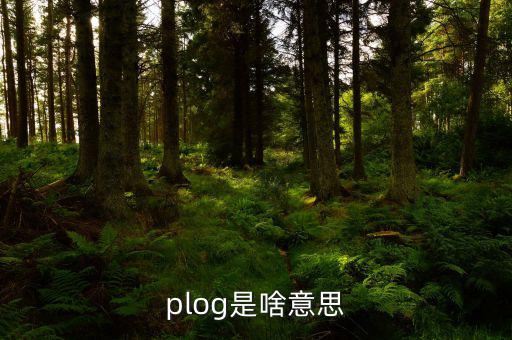 airbnb是什么意思，booking是什么意思