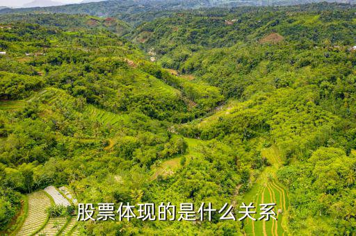 股票體現(xiàn)的是什么，股票到底反映的是什么