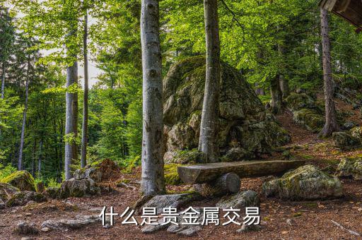 貴金屬交易是什么，什么是貴金屬交易