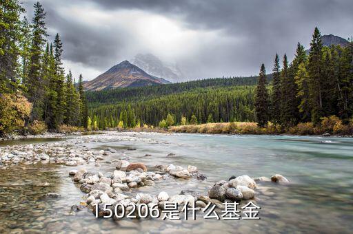 150206國防b是什么，150206是什么基金