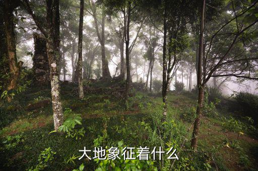 高地價象征什么，大地象征著什么
