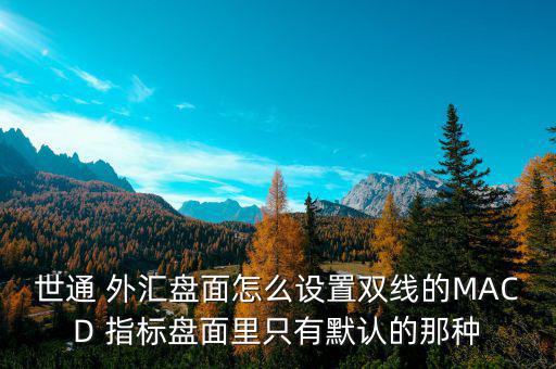 世通 外匯盤面怎么設置雙線的MACD 指標盤面里只有默認的那種