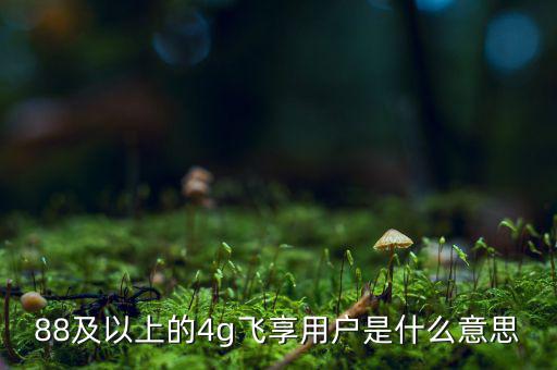 4g用戶是什么意思，88及以上的4g飛享用戶是什么意思