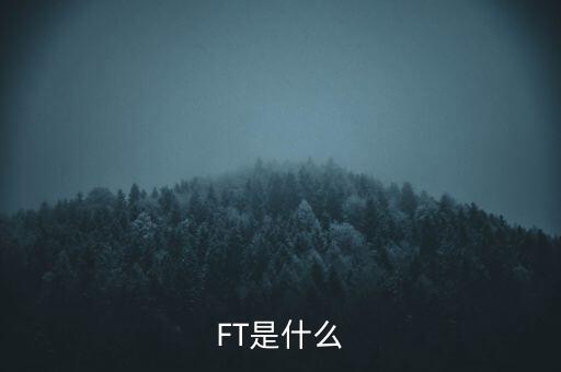 什么是FT調(diào)查，F(xiàn)T是什么