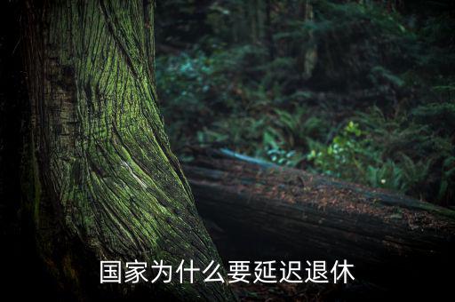 為什么要延遲退休，為什么要推遲退休年齡
