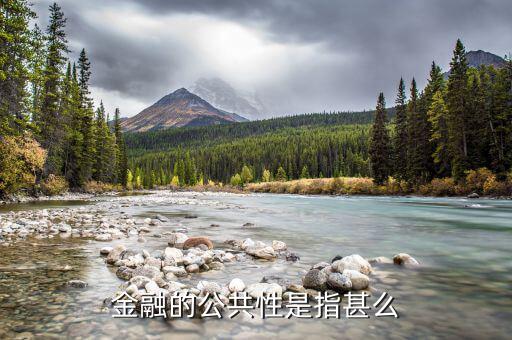 什么是公共金融，金融的公共性是指甚么