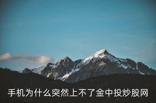為什么不能用金航線炒股，中航證券的金航線手機版為什么不能申購新股