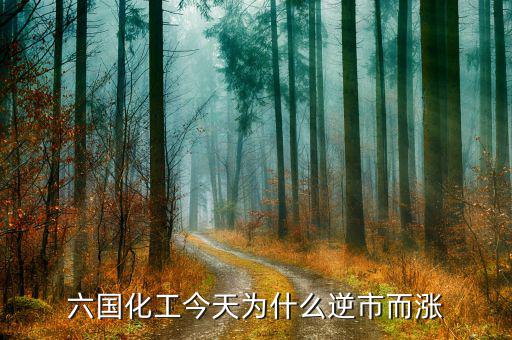 六國化工有什么概念，六國化工和六國化肥是一個意思嗎