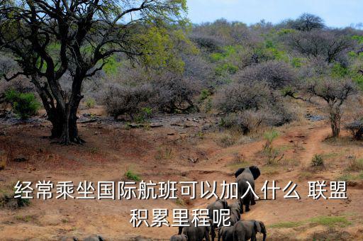 星空聯(lián)盟積分怎么算,南航、東航可通過明珠卡共享積分等