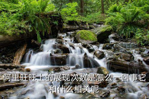 阿里曝光數(shù)據(jù)是什么，阿里旺旺上的展現(xiàn)次數(shù)是怎么一回事它和什么相關(guān)呢