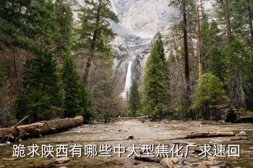 陜西有什么大的煉焦場，陜西省有大洗煤場嗎要待遇好的