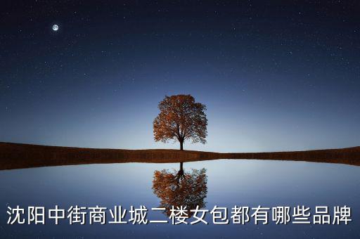 中街商業(yè)城都有什么品牌，沈陽(yáng)中街商業(yè)城二樓女包都有哪些品牌