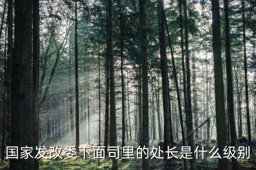 央企處長是什么級別，央企比如移動 電信 聯(lián)通 中石油石化 這些企業(yè)縣的老總是什么級別