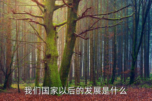 國(guó)家下一步發(fā)展是什么，我國(guó)經(jīng)濟(jì)下一步的發(fā)展方向是什么領(lǐng)域