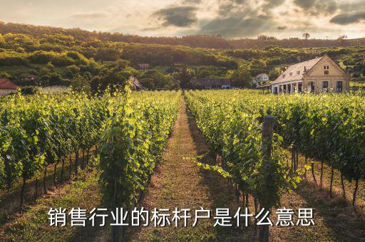 什么叫標桿營銷，銷售行業(yè)的標桿戶是什么意思