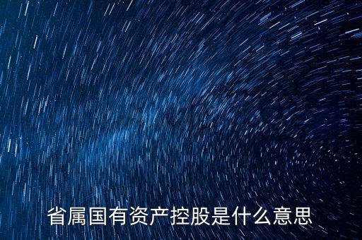 國(guó)資控股什么意思，國(guó)有資金投資占控股是什么意思