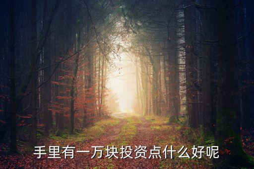 一萬元做什么投資，1萬元創(chuàng)業(yè)投資干什么好