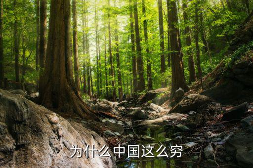 為什么中國這么窮，中國為什么窮