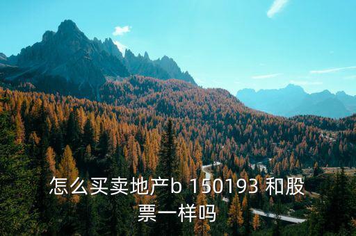 怎么買(mǎi)賣(mài)地產(chǎn)b 150193 和股票一樣嗎