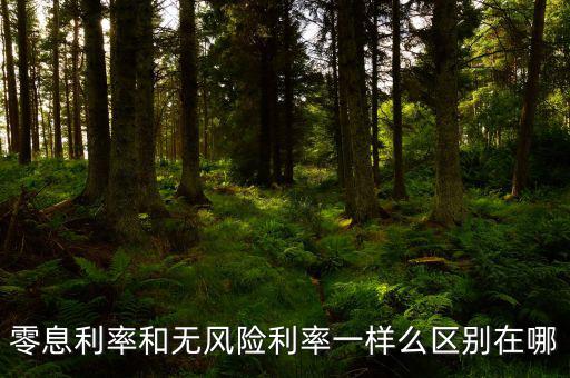即期利率是什么，定期的利息和國期的利息是什么