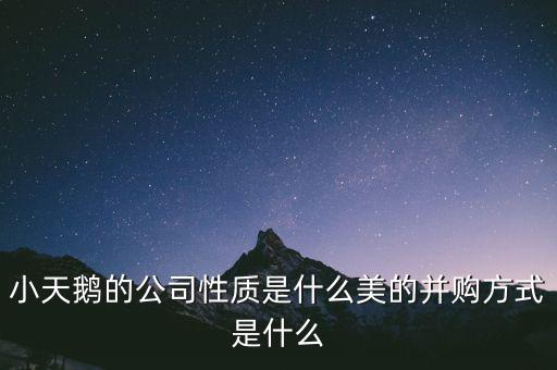 天鵝有什么并購案，小天鵝 合并的品牌