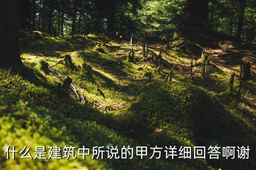 為什么說mint是甲方，MINTS DOUBLEMINT是什么意思