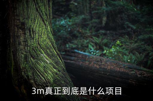 3m靠什么盈利，fifa online 3m玩家怎么賺錢