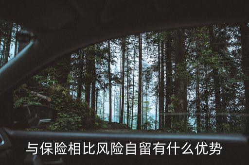 什么是風(fēng)險(xiǎn)自留，股票里有個(gè)自留的專業(yè)用語(yǔ)是什么意思