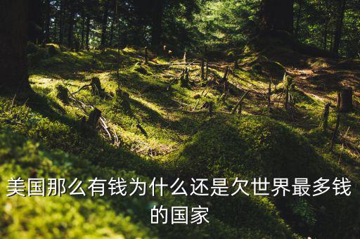 為什么美國欠中國錢，世界第一經(jīng)濟(jì)體美國 為什么還要向中國借錢
