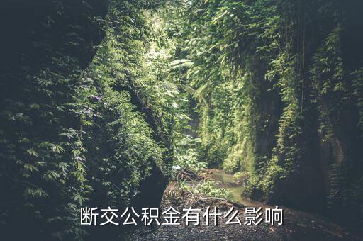 公積金斷了有什么影響，停繳公積金有什么影響