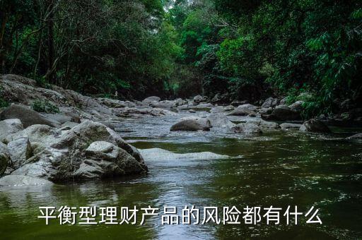 理才客戶風險平衡型是什么意思，平安銀行評估平衡型是什么意思