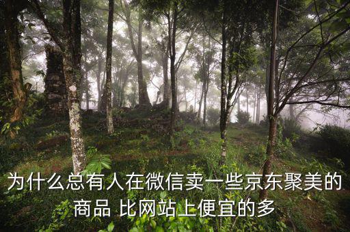 為什么聚美的價(jià)格便宜，聚美優(yōu)品怎么這么便宜