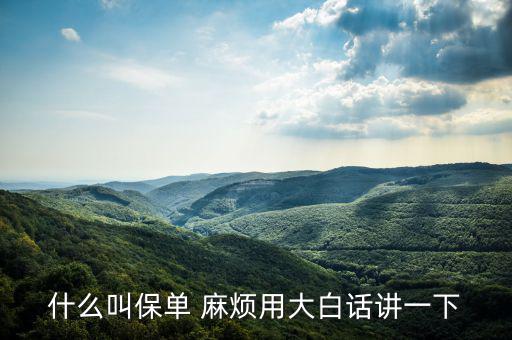 什么是保單，什么是保單