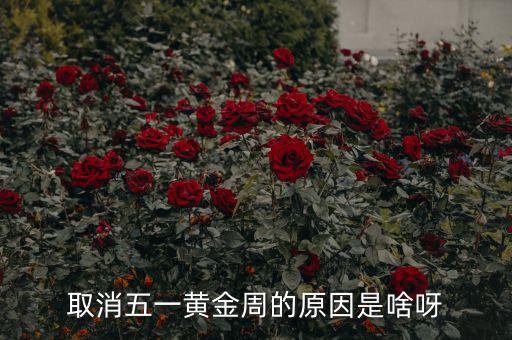 五一黃金周為什么取消，為什么取消五一黃金周