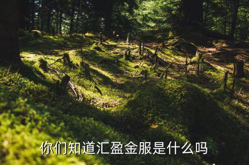 存匯盈是什么，存兌匯票是什么東東具體含義一定要說(shuō)的詳細(xì)點(diǎn)啊