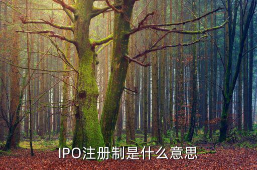 ipo注冊制是什么意思，IPO注冊制是什么意思和審批制有什么區(qū)別