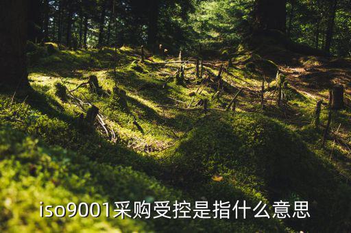 采購流程的雙控體系是什么意思，iso9001采購受控是指什么意思