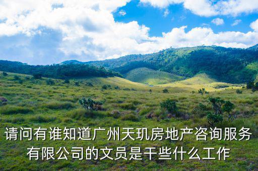 請(qǐng)問有誰(shuí)知道廣州天璣房地產(chǎn)咨詢服務(wù)有限公司的文員是干些什么工作