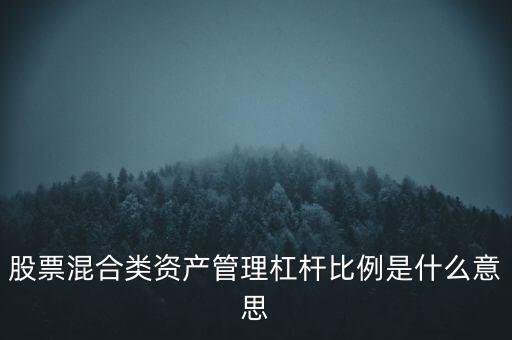 股票混合類資產管理杠桿比例是什么意思