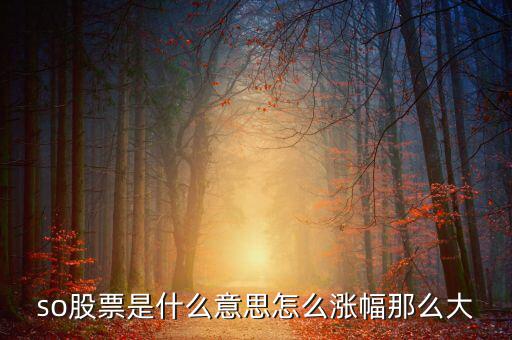 so股票是什么意思，股市上so開頭的是什么意思