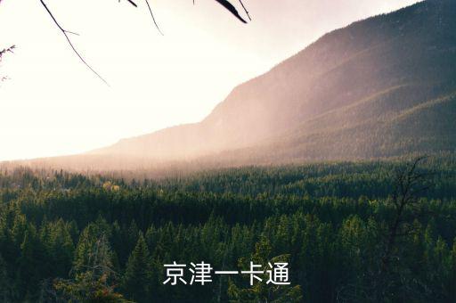 京津冀公交卡一體卡是什么樣子的，在北京辦的藍(lán)色的公交卡是可以在石家莊所有公交用了嗎還是說京津