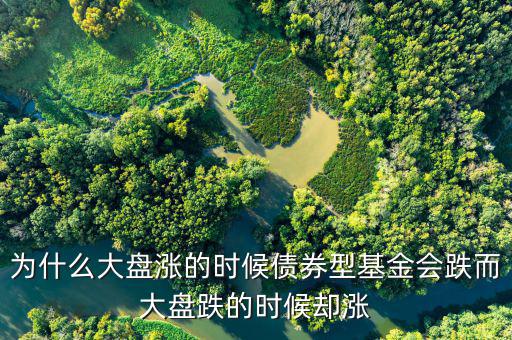 為什么大盤跌基金漲，為啥大盤漲基金反而跌基金又漲