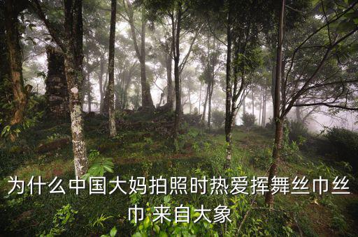為什么中國(guó)大媽拍照時(shí)熱愛揮舞絲巾絲巾 來(lái)自大象