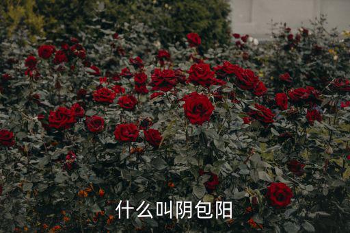 什么叫陽包陰，K線里收陽包陰或陰包陽指的是實(shí)體還是影線也算上