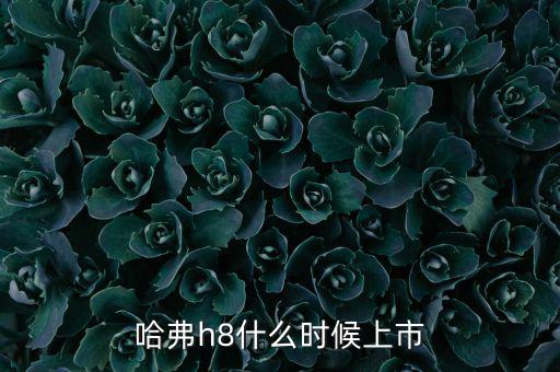 哈佛h8什么時(shí)候上市的，哈弗h8什么時(shí)候上市
