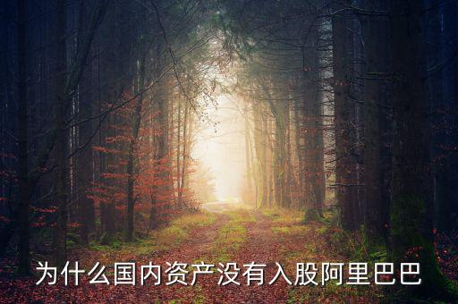 當(dāng)初為什么沒投阿里巴巴，為什么國內(nèi)資產(chǎn)沒有入股阿里巴巴